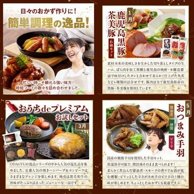 【発送月固定定期便】時短!お手軽!ごちそうバラエティ定期便全6回