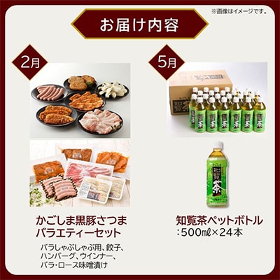 【発送月固定定期便】南九州まんぞく定期便　ライト全4回