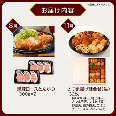 【発送月固定定期便】南九州まんぞく定期便　ライト全4回