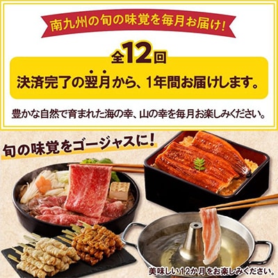 【発送月固定定期便】南九州トクトク定期便全12回
