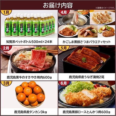 【発送月固定定期便】南九州トクトク定期便全12回