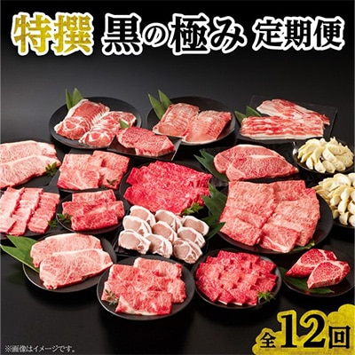 【発送月固定定期便】特選　黒の極み定期便全12回