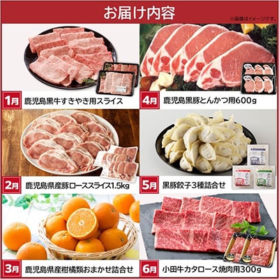 【発送月固定定期便】南九州まんぞく定期便全12回