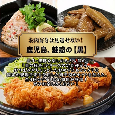 【発送月固定定期便】黒の極定期便　ライト全4回