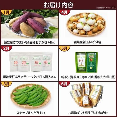 【発送月固定定期便】南九州市頴娃うまいもん定期便全12回
