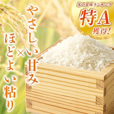 お米 鹿児島県産なつほのか5kg