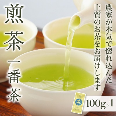 煎茶・一番茶 さえみどり 美南緑 リーフティ(100g×1)