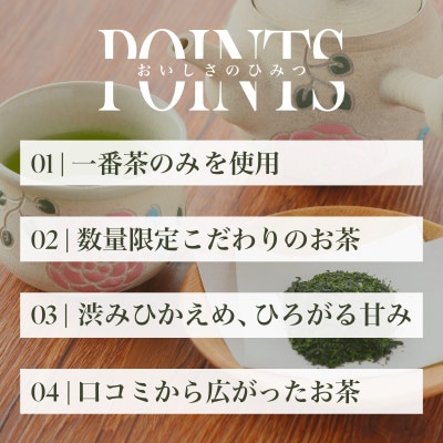 煎茶・一番茶 さえみどり 美南緑 リーフティ(100g×1)