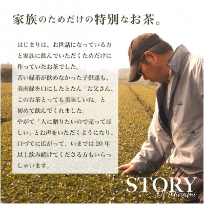 煎茶・一番茶 さえみどり 美南緑 リーフティ(100g×1)