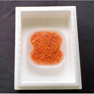 【年内配送可○】秋鮭いくら醤油漬100g×1P B-40027