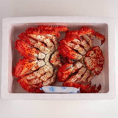 【年内配送可○】★花咲がに500g前後×2尾セット(チルド便) B-80005