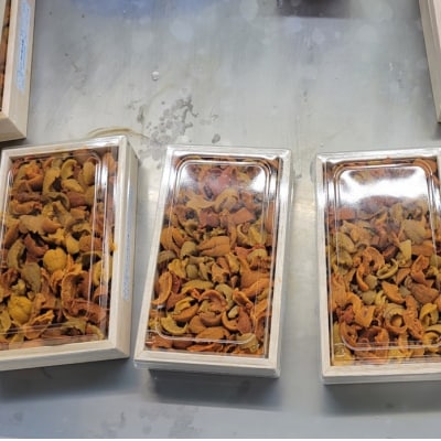 【年内配送可○】エゾバフンウニ(赤系)150g×1折 A-71043