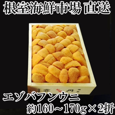 【年内配送可○】エゾバフンウニ(黄系)160～170g×2折 D-11040