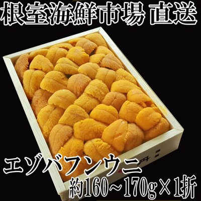 【年内配送可○】エゾバフンウニ(黄系)160～170g×1折 C-14038