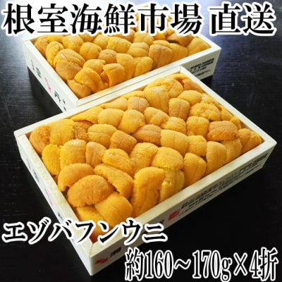 【年内配送可○】エゾバフンウニ(黄系)160～170g×4折 E-28022