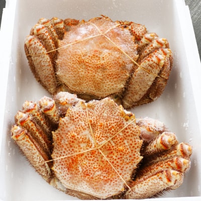 【年内配送可○】毛がに780g～850g×2尾 F-32009