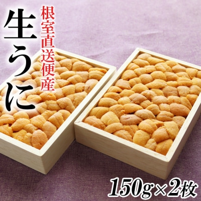 【年内配送可○】エゾバフンウニ150g×2折[11月上旬以降発送] F-40008