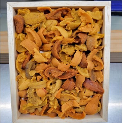 【年内配送可○】エゾバフンウニ(赤系)150g×2折  C-53026