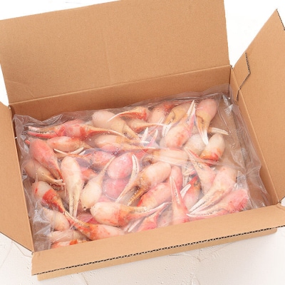 【年内配送可○】ボイルズワイガニ爪ポーション800g A-58017