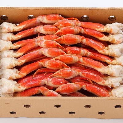 【年内配送可○】ボイル本ずわいがに足5kg F-25007