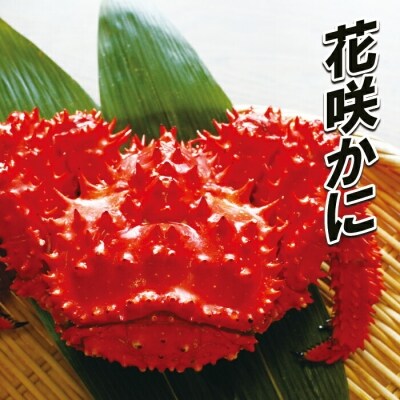 【年内配送可○】 ★花咲かに700g～800g前後×1尾 A-10061
