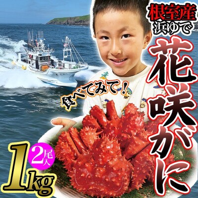【年内配送可○】★かに二種食べ比べセット(花咲がに、毛がに) D-80001