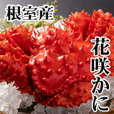 【年内配送可○】★花咲かに300g前後～450g前後×3尾 G-30010