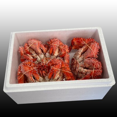 【年内配送可○】★花咲かに300g前後～450g前後×3尾 G-36010