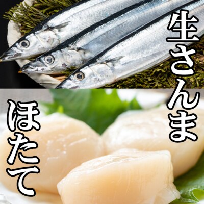 【年内配送可○】冷凍生さんま5尾×1P、お刺身用ほたて貝柱200g×1P G-76003