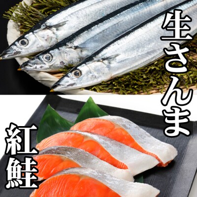 【年内配送可○】冷凍生さんま5尾×1P、甘塩紅鮭5切×1P G-76004