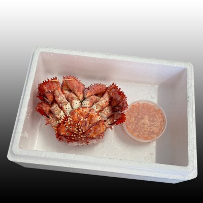 【年内配送可○】花咲かに300g～450g前後、いくら醤油漬け100g G-76011