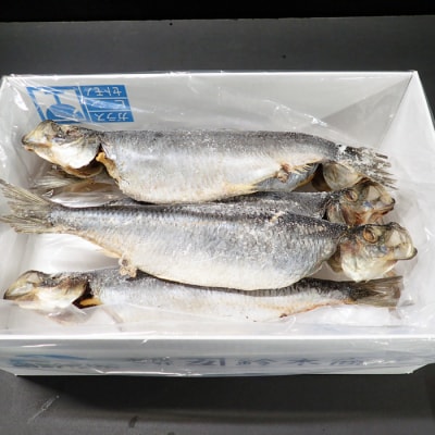 【年内配送可○】一夜干し子持ちにしん6尾 G-14047