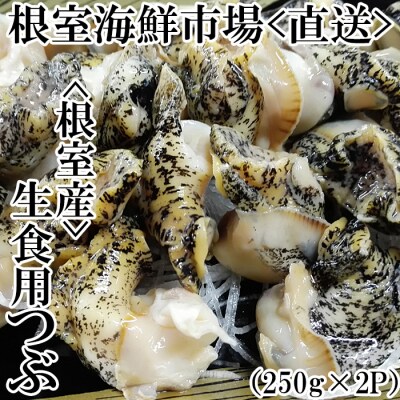 【年内配送可○】根室海鮮市場＜直送＞★生食用灯台つぶ(ボイル済)250g×2P G-28040