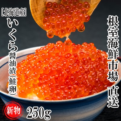 【年内配送可○】根室海鮮市場＜直送＞いくら醤油漬け(秋鮭卵)(新物)250g×1P A-28240