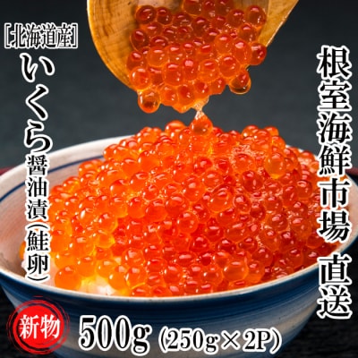 【年内配送可○】根室海鮮市場＜直送＞いくら醤油漬け(秋鮭卵)(新物)250g×2P B-28113