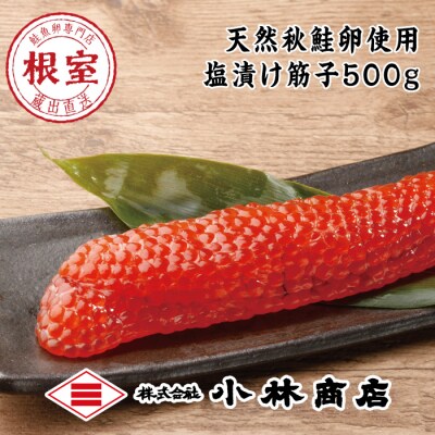 【年内配送可○】秋鮭塩筋子500g C-16037