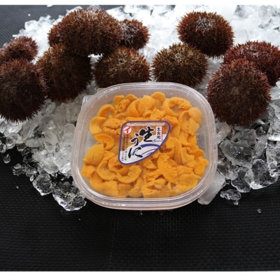 【年内配送可○】★エゾバフンウニ塩水パック100g×1折 F-71014