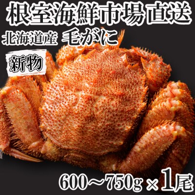 【年内配送可○】ボイル毛がに600～750g×1尾 C-11033