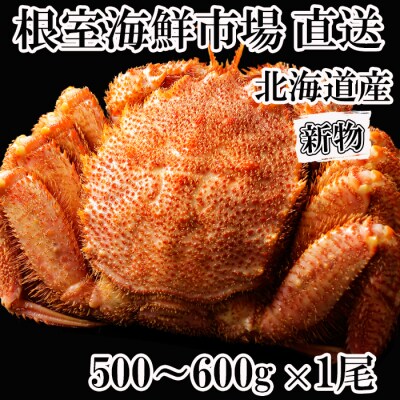 【年内配送可○】ボイル毛がに500～600g×1尾 B-11109