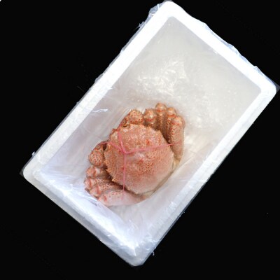 【年内配送可○】ボイル毛がに500～600g×1尾 B-11109