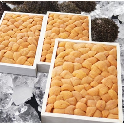 【年内配送可○】エゾバフンウニバラ詰め(赤系)140～150g×3折 F-71015