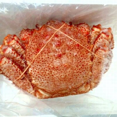 【年内配送可○】★毛がに800g前後 D-57040