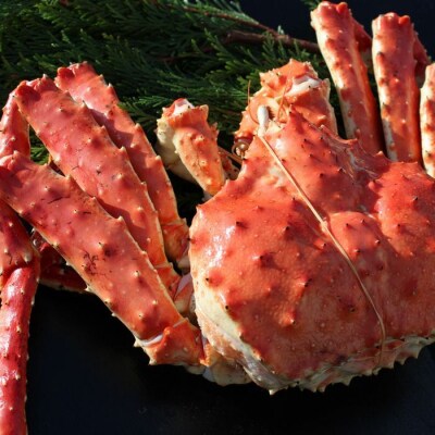 【年内配送可○】本タラバガニ1.7kg前後×1尾 D-57046