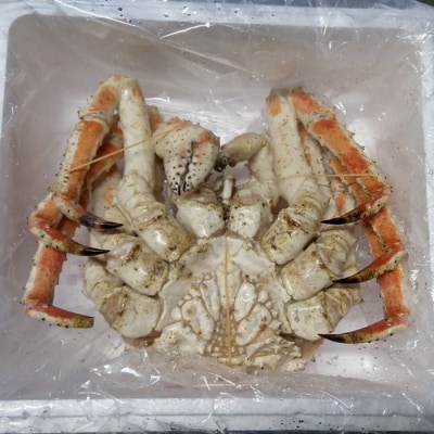 【年内配送可○】本タラバガニ1.7kg前後×1尾 D-57046