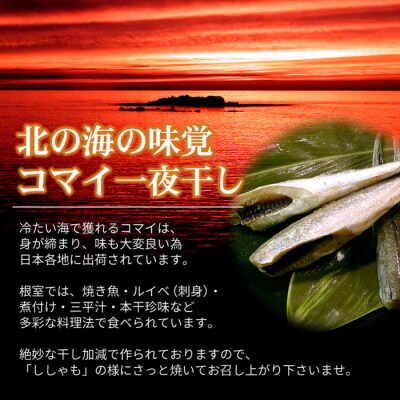 【年内配送可○】一夜干こまい500g×4P A-07036