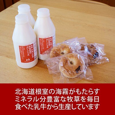 【年内配送可○】低温殺菌牛乳800ml×3本、ベーグル(クルミ・プレーン)各2個 A-13026