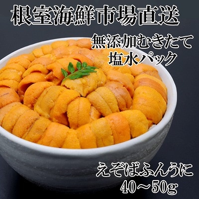 【年内配送可○】無添加むきたてエゾバフンウニ(赤系)塩水パック40～50g×1P G-28069