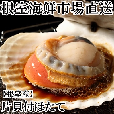 【年内配送可○】根室海鮮市場＜直送＞片貝ほたて10枚 G-28044