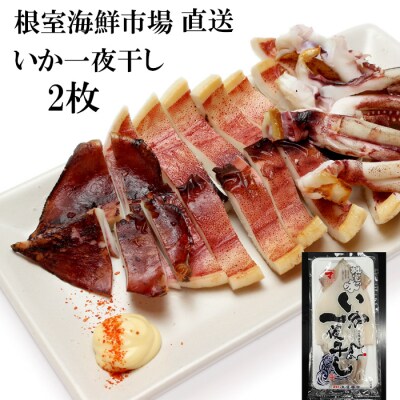 【年内配送可○】【北海道産】いか一夜干し2枚 G-14079