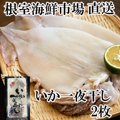 【年内配送可○】根室海鮮市場＜直送＞【北海道産】いか一夜干し2枚 G-28079